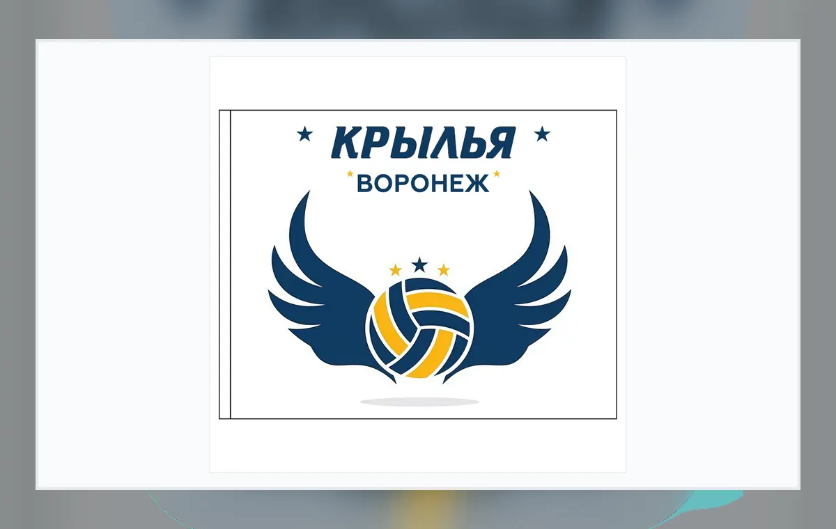 Макет флага Крылья Воронеж